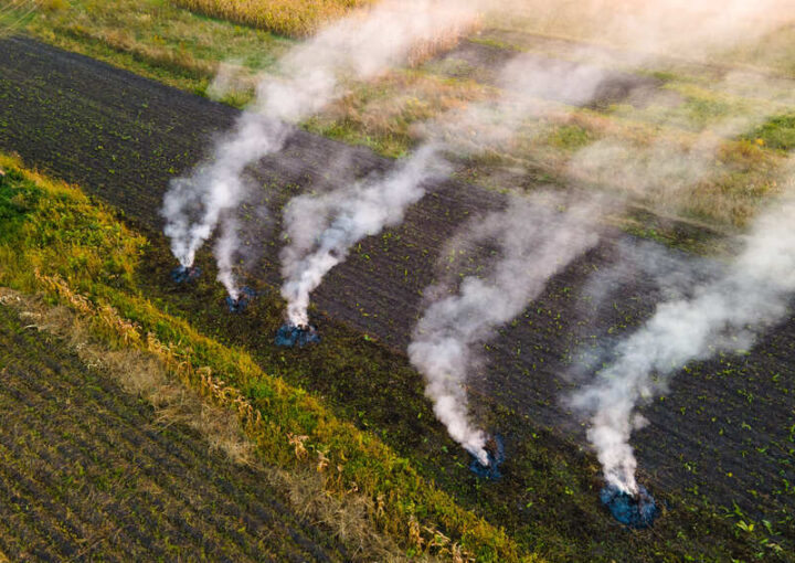 Rauchende Feuerstellen auf einem abgeernteten Feld aus der Vogelperspektive.