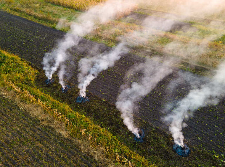 Rauchende Feuerstellen auf einem abgeernteten Feld aus der Vogelperspektive.