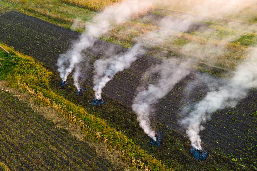Rauchende Feuerstellen auf einem abgeernteten Feld aus der Vogelperspektive.