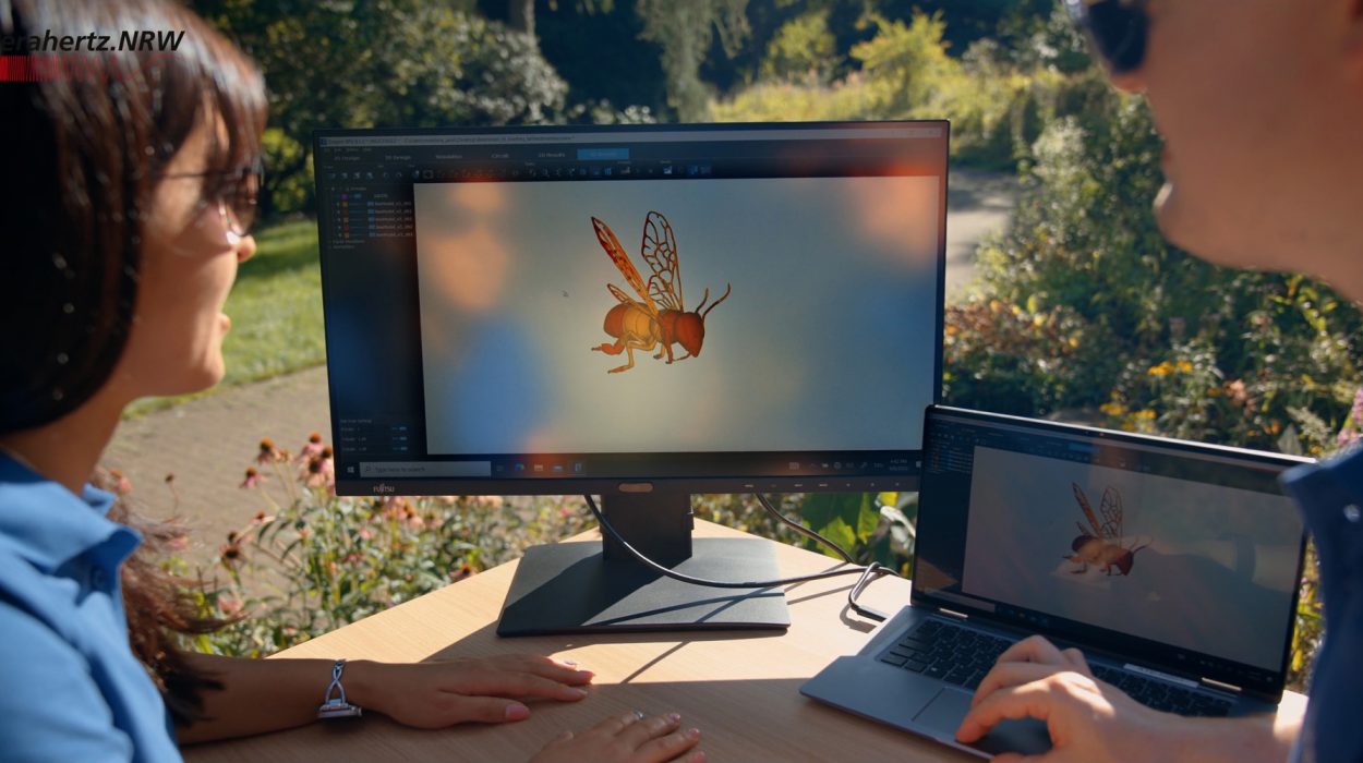Zwei Personen arbeiten im Freien an einem Tisch mit Laptop und externem Monitor, auf dem eine 3D-Visualisierung einer Biene zu sehen ist; oben links ist das Logo von terahertz.NRW eingeblendet.