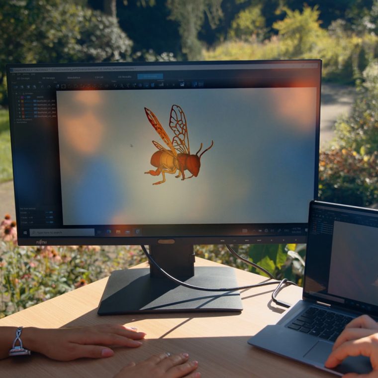 Zwei Personen arbeiten im Freien an einem Tisch mit Laptop und externem Monitor, auf dem eine 3D-Visualisierung einer Biene zu sehen ist; oben links ist das Logo von terahertz.NRW eingeblendet.