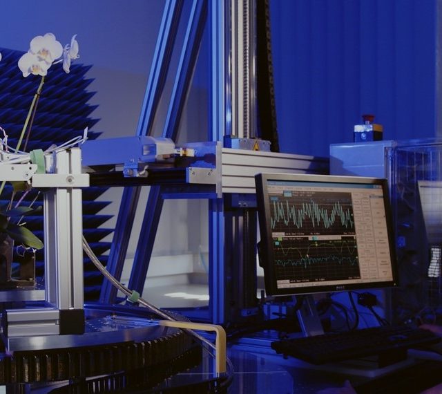 Zwei Männer in "terahertz.NRW"-Shirts arbeiten in einem blauen Labor. Zwischen ihnen steht eine Orchidee in einem sensorgestützten Versuchsaufbau. Einer beobachtet die Pflanze, der andere analysiert Messdaten am Computer.