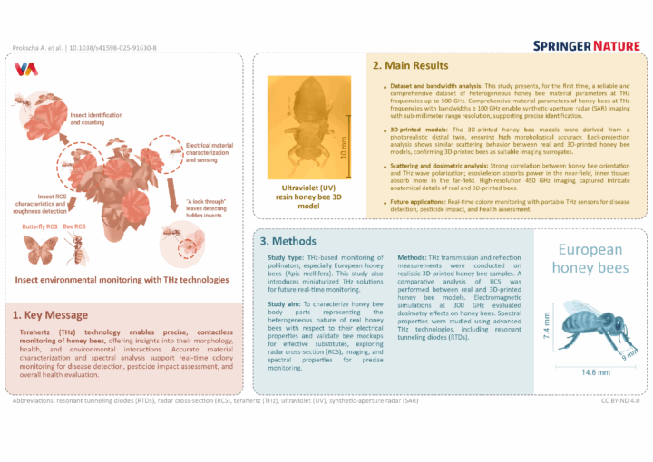 Infografik zur Anwendung von Terahertz-Technologie zur kontaktlosen Überwachung von Honigbienen. Gezeigt werden Einsatzgebiete wie Insektenerkennung, Materialanalyse und Gesundheitsbewertung. Quelle: Springer Nature.