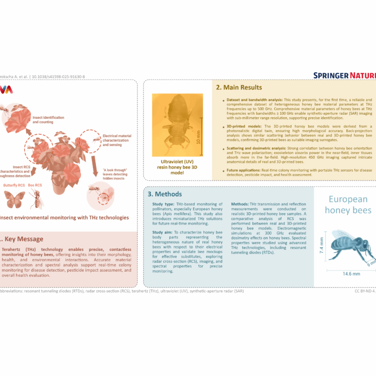 Infografik zur Anwendung von Terahertz-Technologie zur kontaktlosen Überwachung von Honigbienen. Gezeigt werden Einsatzgebiete wie Insektenerkennung, Materialanalyse und Gesundheitsbewertung. Quelle: Springer Nature.