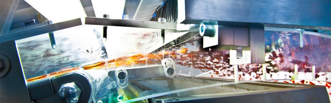 Fraunhofer IOSB